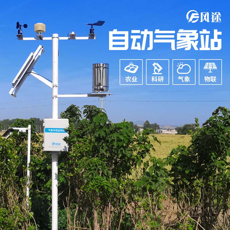 小麥穗期病蟲(chóng)害如何監(jiān)測(cè)？